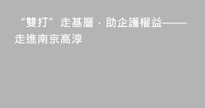 “雙打”走基層，助企護權益——走進南京高淳