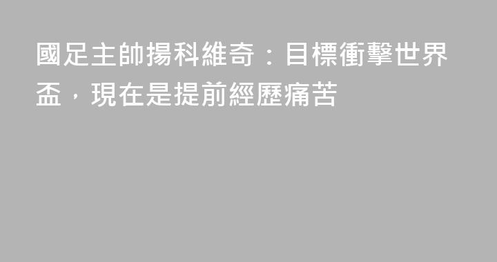 國足主帥揚科維奇：目標衝擊世界盃，現在是提前經歷痛苦