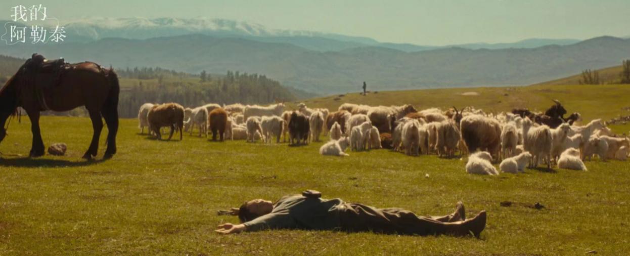 專家點評《我的阿勒泰》：國劇中獨特的存在