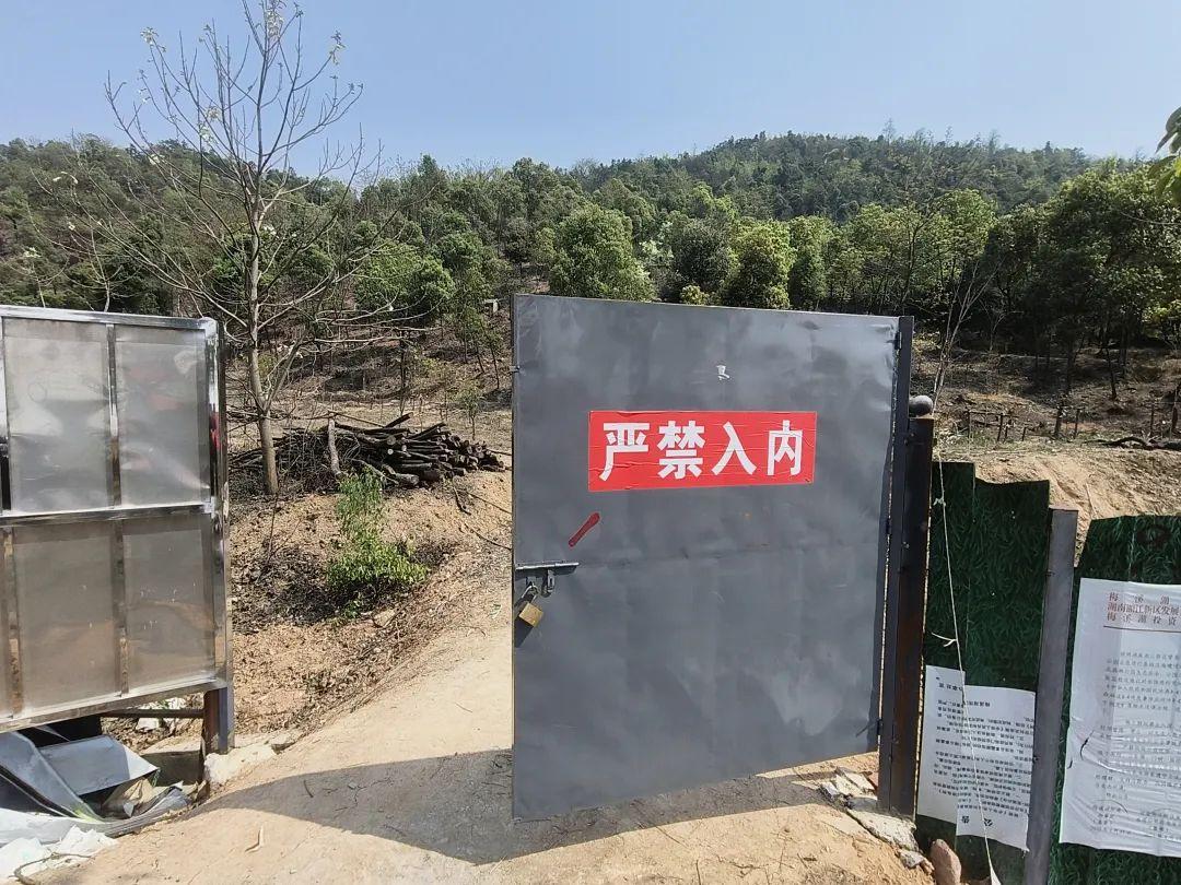 長沙一封閉公園被開闢出網紅野道，市民慕名冒險打卡！記者探訪發現危險重重