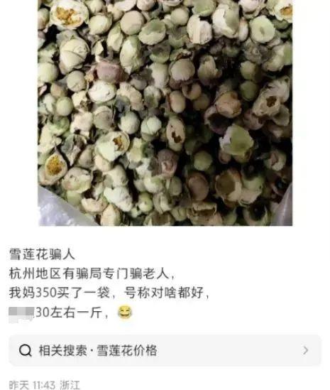 “太氣人！”30元的“雪蓮花”賣350元，多地街頭已出現
