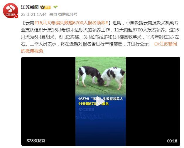 16只搜救犬“考編”失敗 超6700人報名領養
