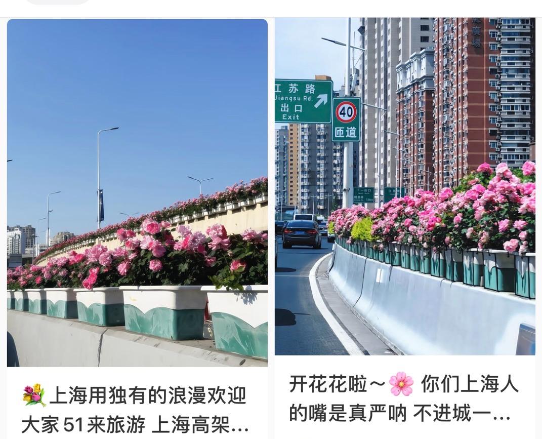 事發上海堵車高峯！一司機突然喘不上氣！發病率極高，滬上門診患者激增