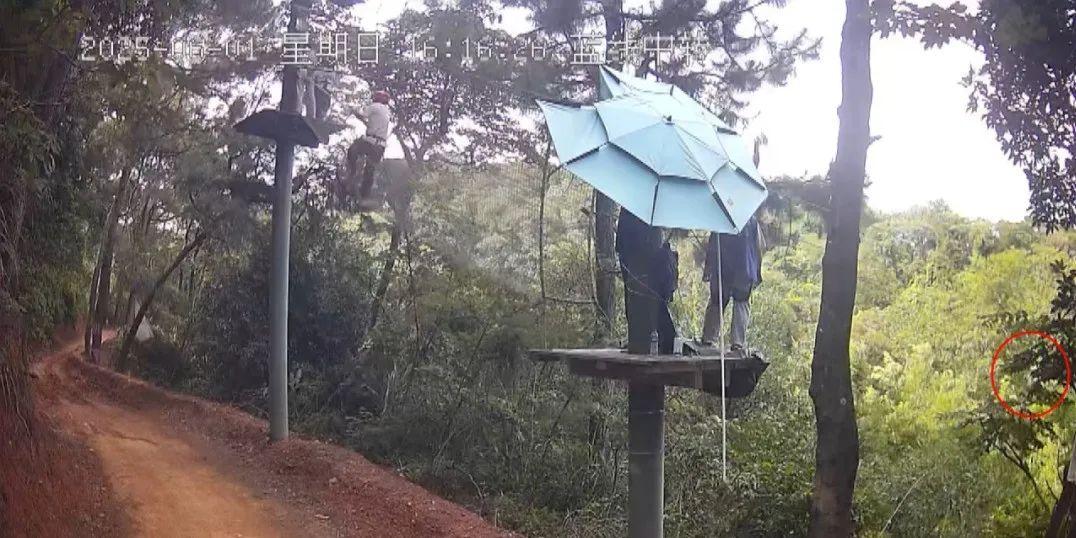 停業整改！廣西一景區有遊客從高空墜落
