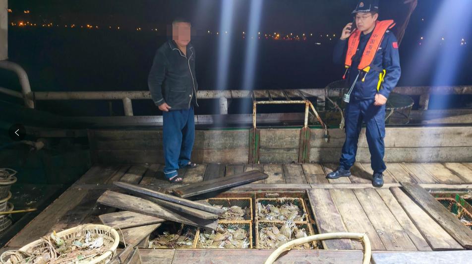 1500公斤梭子蟹，當場查獲！提醒：今天起，浙江全面禁售