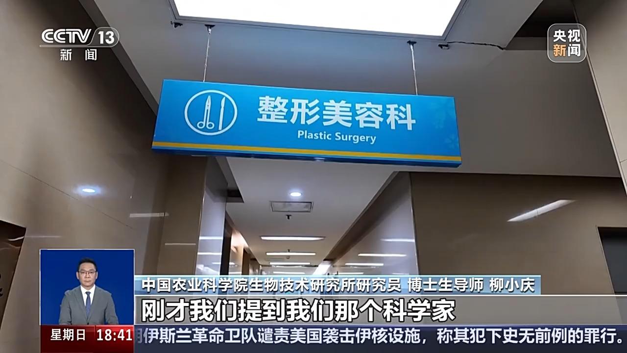 真相來了丨注射端粒酶基因可逆轉衰老、永葆青春？謠言！