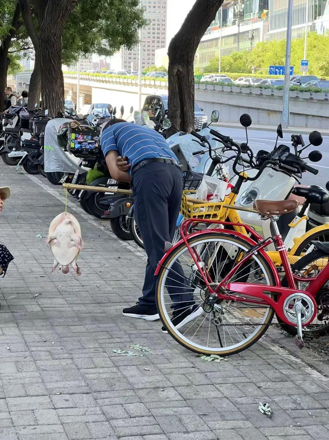 多地街頭販賣，竟是“生態殺手”？專家提醒：不能喫！別放生！快舉報！