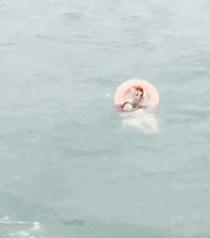 青島玉米大姨跳海救人後重回原地擺攤，網友呼籲給她安排固定攤位，景區回應