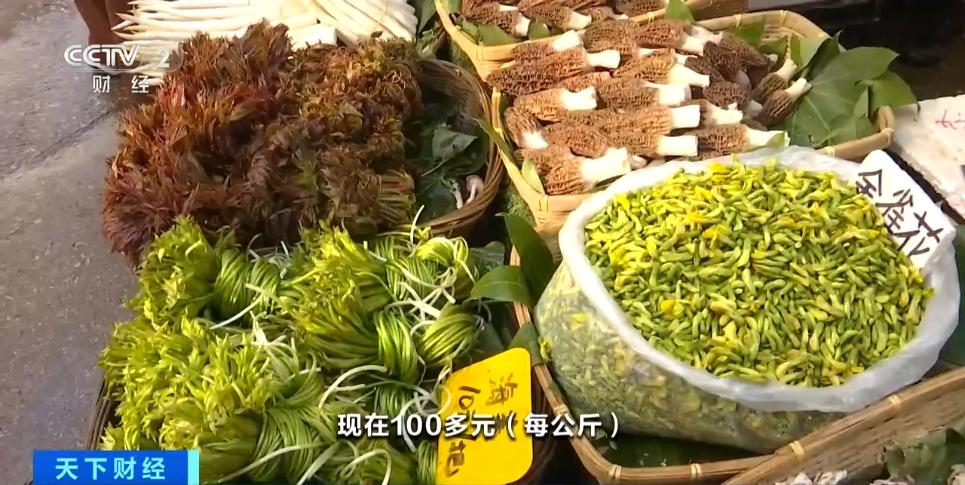 價格下降！春花春菜大量上市