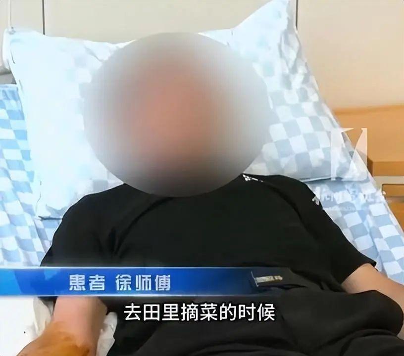 69歲大爺被五步蛇咬傷：感覺“有毒”立馬追蛇，一腳踩死後帶去醫院