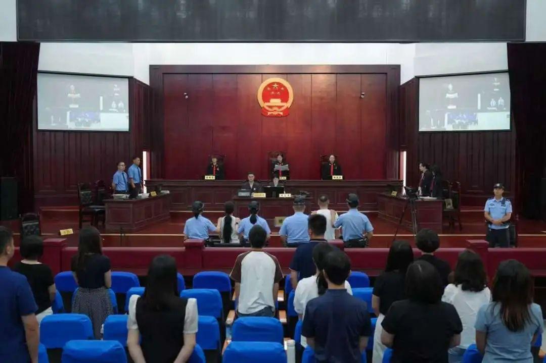 兩人造謠大熊貓被虐待，一審判了！