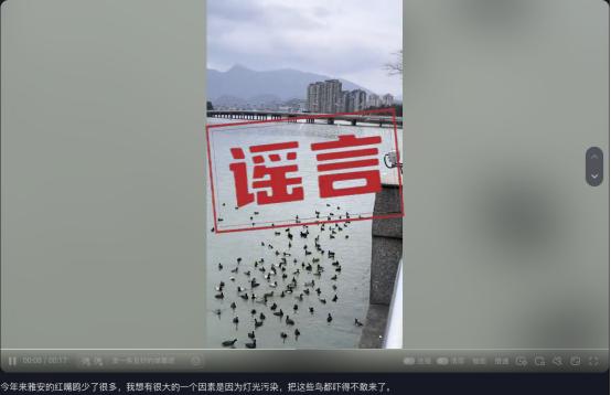 嚴重光污染致四川雅安紅嘴鷗數量減少？真相是……