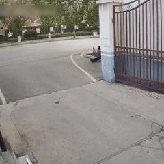 女子擔心遲到開車去考科目一，交警看蒙了！