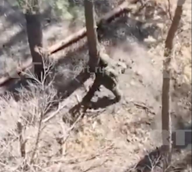 畫面曝光！俄士兵徒手抓住烏軍無人機並當場拍毀