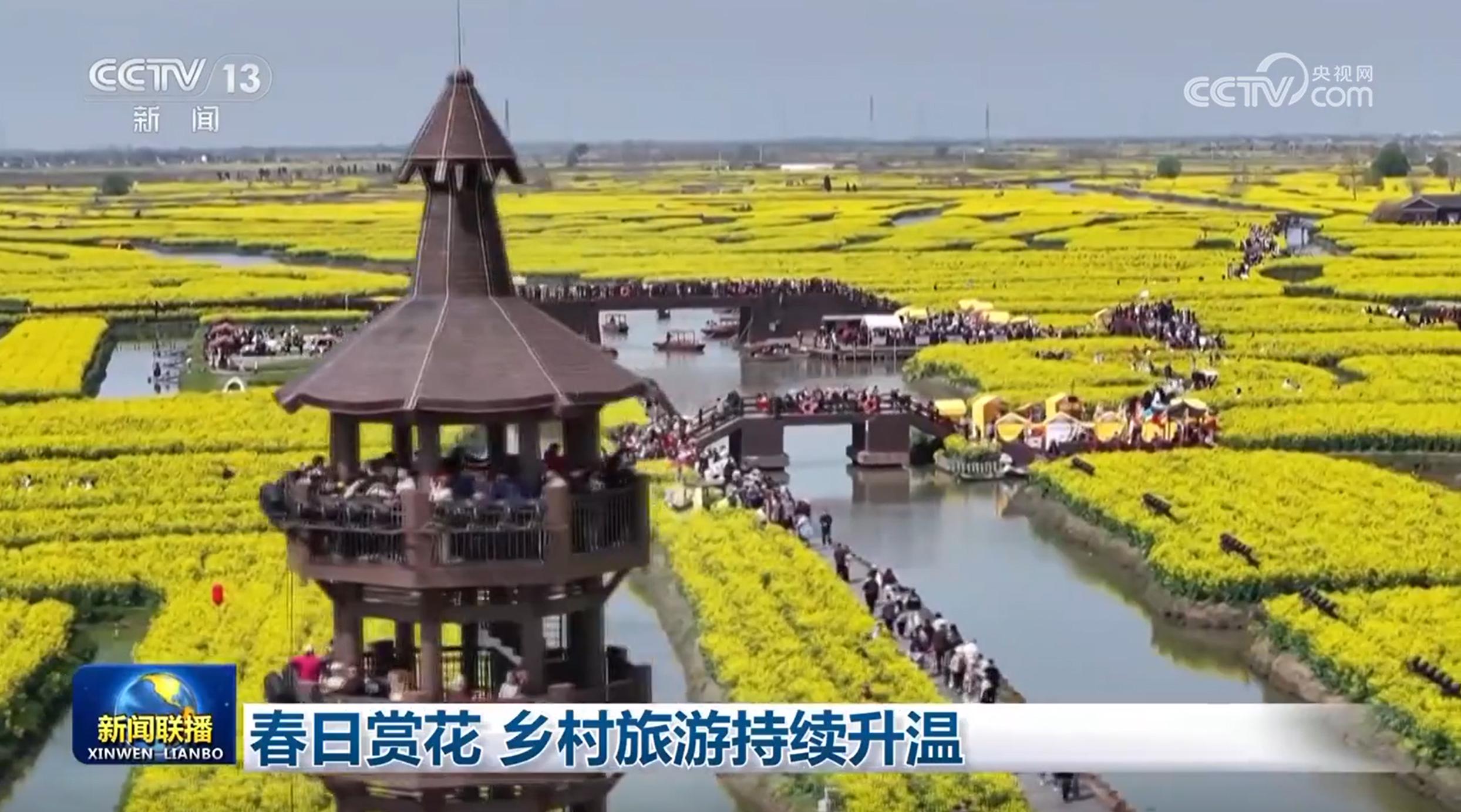 春日賞花 鄉村旅遊持續升溫