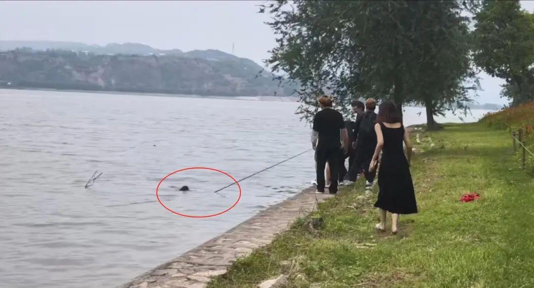 三門峽黃河岸邊一對母子不慎落水，危急時刻釣魚男子伸出魚竿將其救起