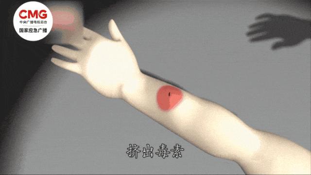 戶外遭遇蜂羣襲擊怎麼辦？這份自救指南請收好