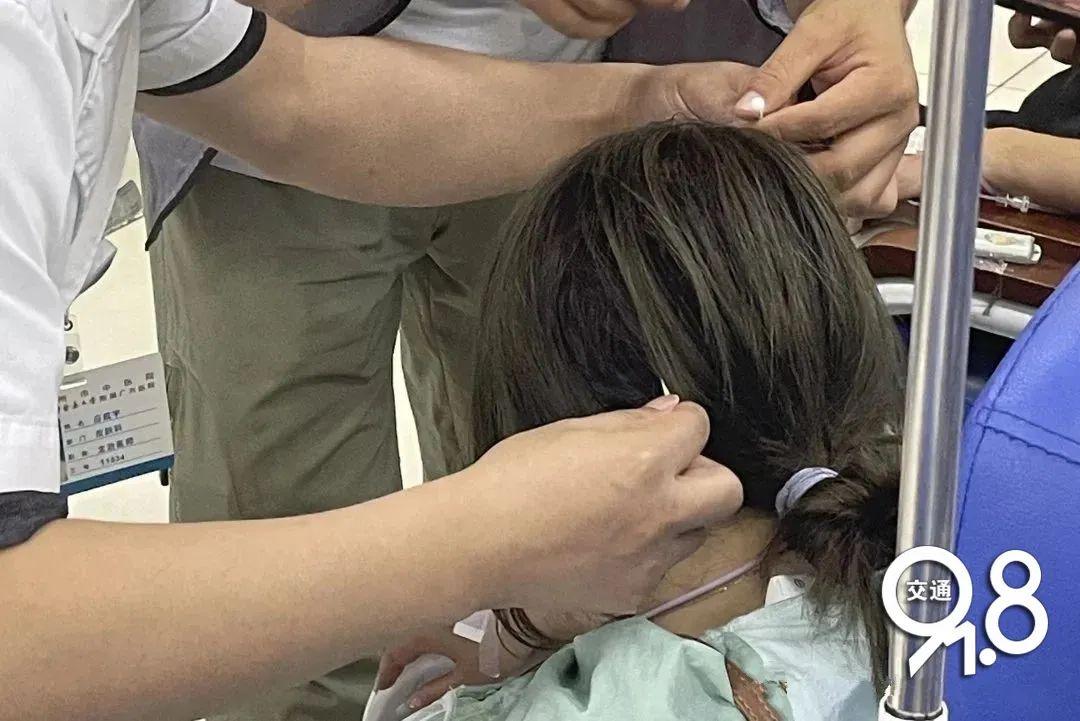 杭州深夜，他們集體被“襲擊”！緊急送醫……確認是馬蜂蜇傷