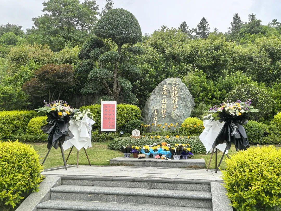 袁隆平逝世四週年，今天他的墓前擺滿了鮮花……