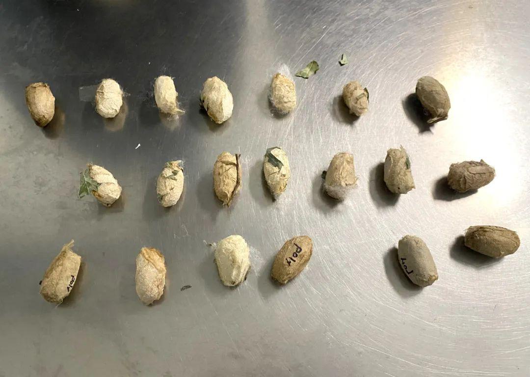 突然被查！事發南昌昌北機場！