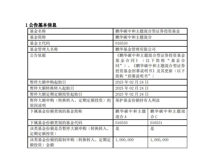 鵬華碳中和主題混合暫停大額申購，年內回報領跑
