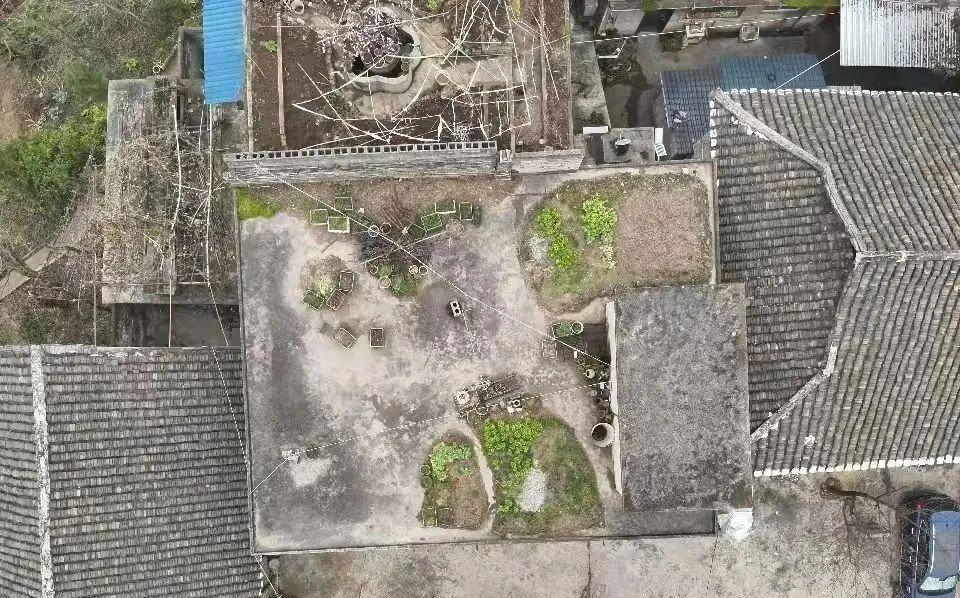 治病？涮火鍋？可太“刑”了！貴州一地剷除罌粟1100餘株！