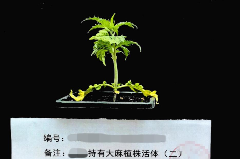 無底線！上海警方通報：夫妻倆雙雙被抓！