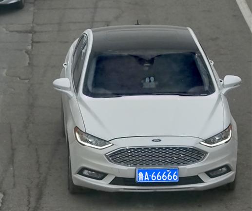 “魯A66666”濟南街頭被查，警方通報：拘留、罰款