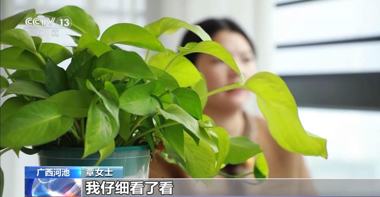 網購書籍價格超低 到手發現疑似盜版 低價書到底哪來的？