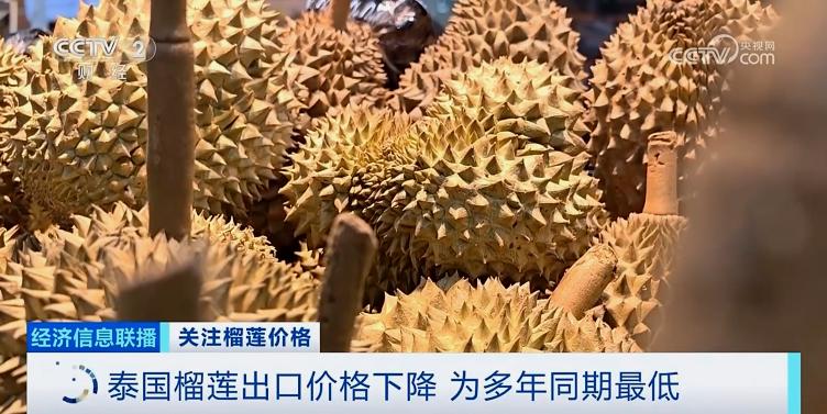 降！降！降！榴蓮多年來最低價的背後是這些原因