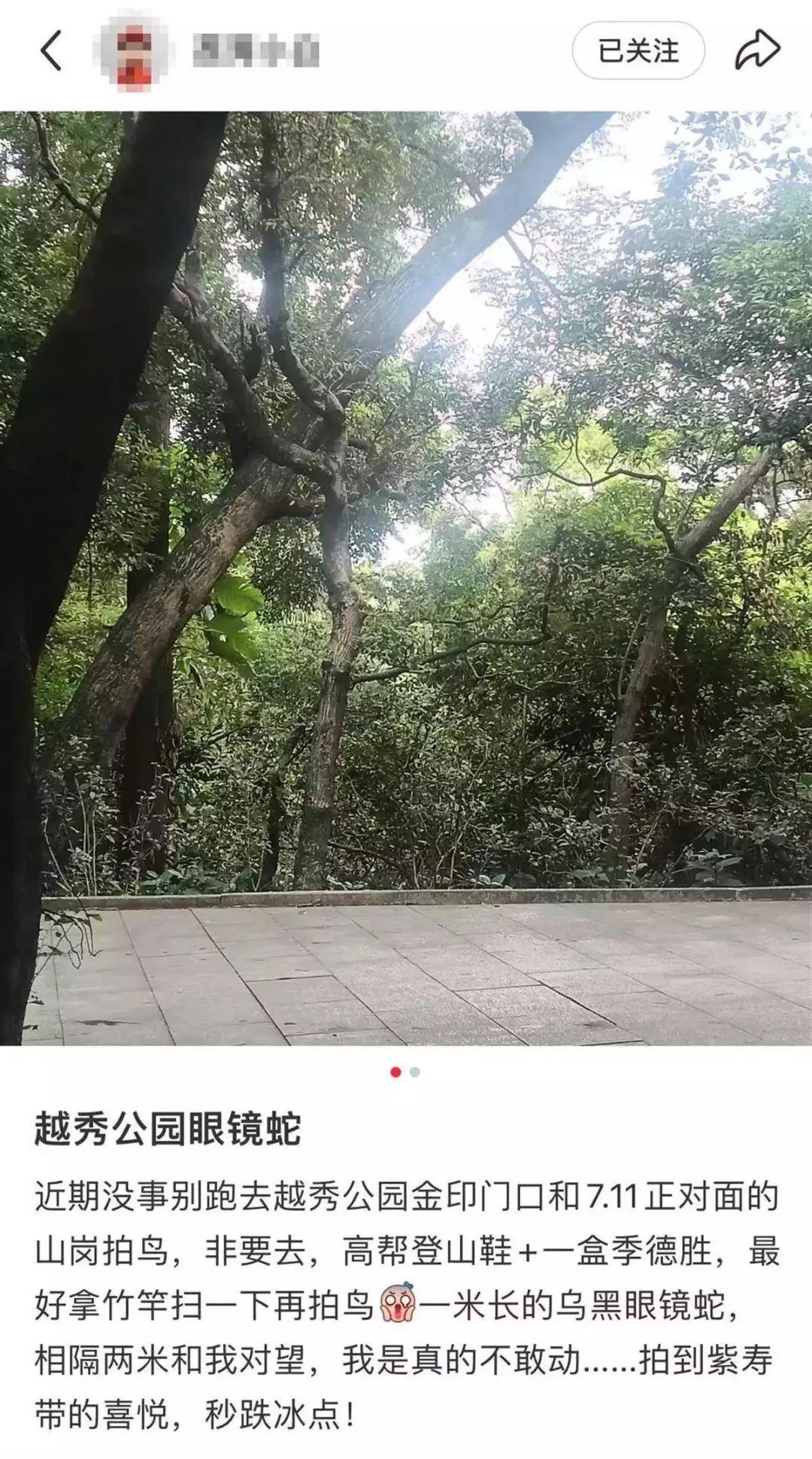 網傳廣東兩公園驚現眼鏡蛇，長度均超一米！近期毒蛇活躍，園方提醒