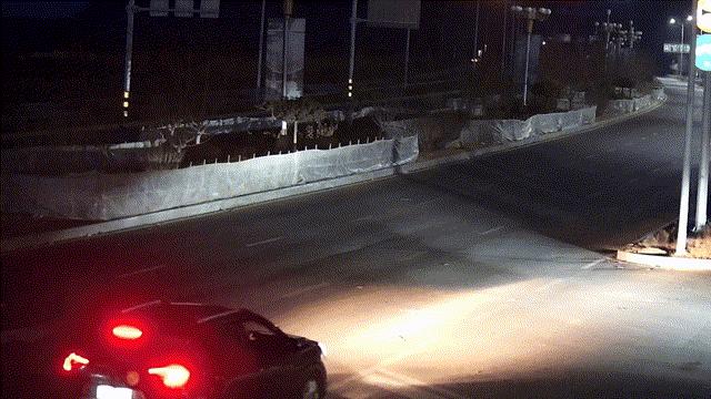 僞造車禍騙保？蘭州公安智破10萬元騙保案，羣衆直呼