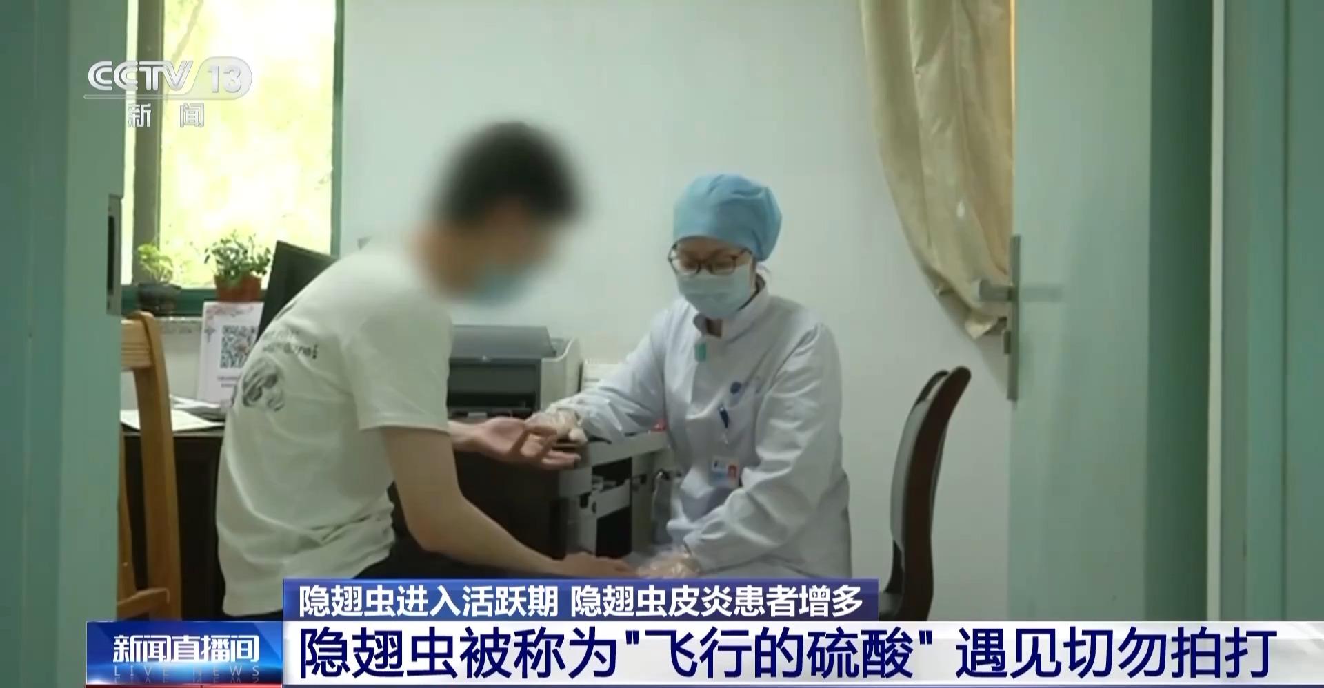 別拍打！“飛行硫酸”隱翅蟲進入活躍期 防範指南請查收