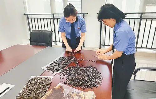 古箏學生網購“銀甲”，牽出一條玳瑁義甲黑產鏈……