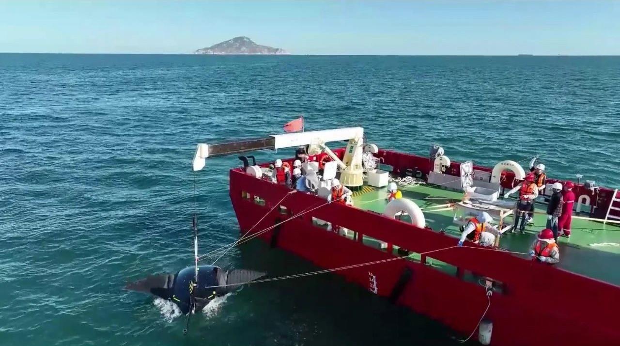 這是……魔鬼魚？！你再看看