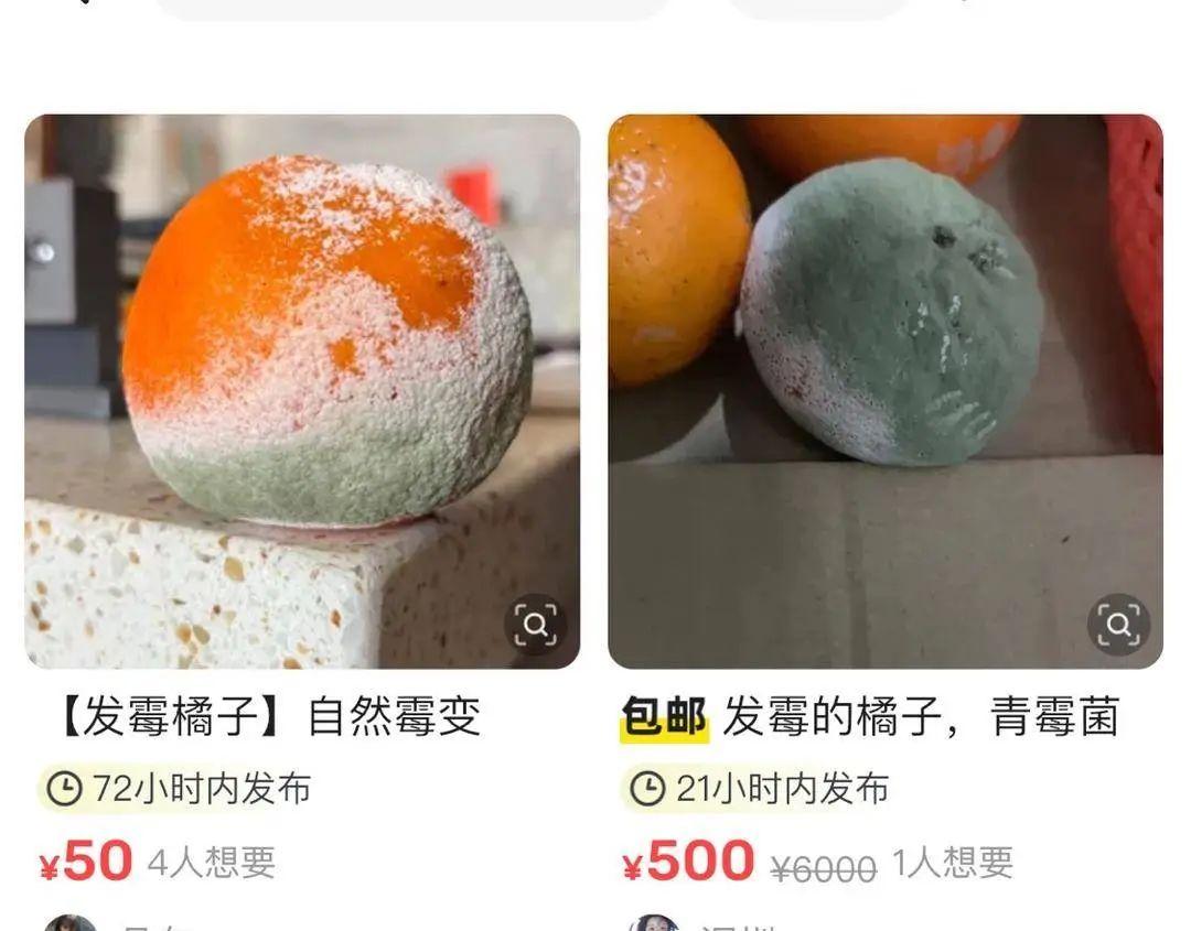 發黴橘子竟成二手平臺“香餑餑”，專家提醒