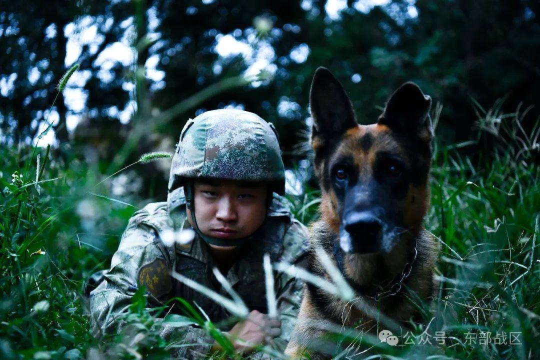 引導員和軍犬，都是12年軍齡的“同年兵”！