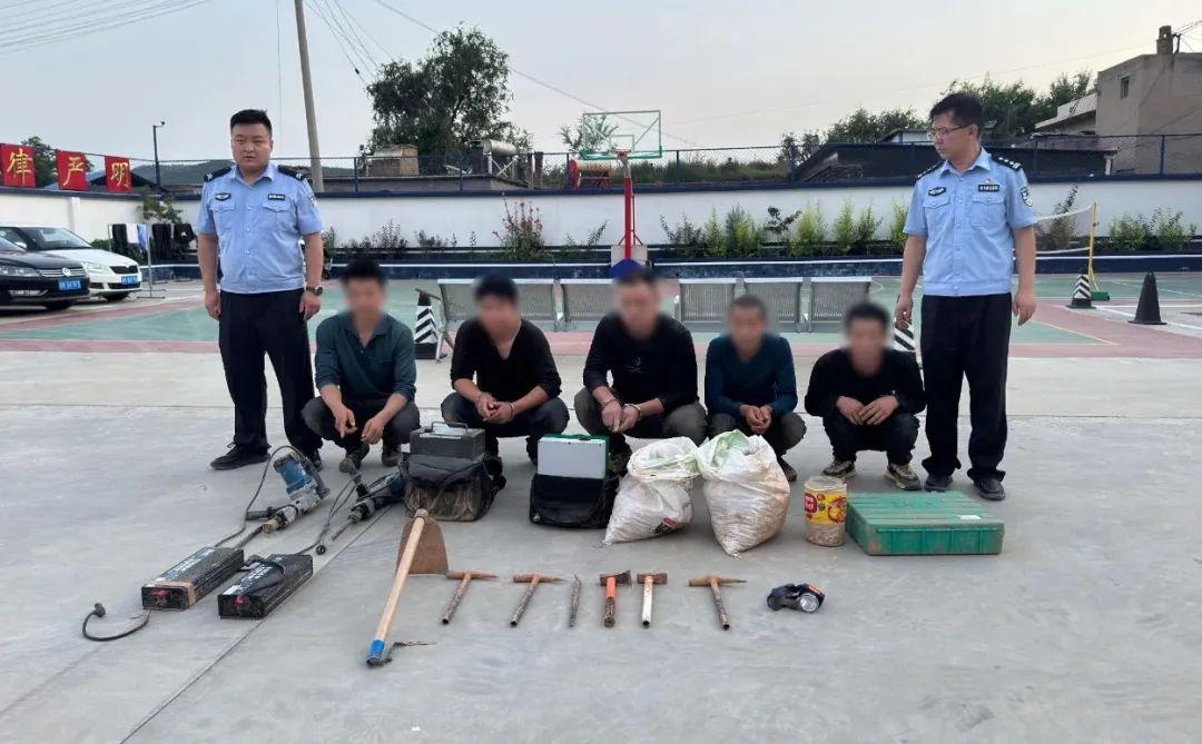 盜掘“龍骨”，5人被刑拘！