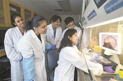 科學家培育出新型“全腦”類器官