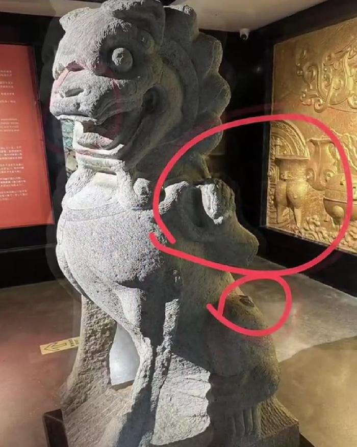 安徽蕭縣一石獅子現身江蘇徐州私人博物館？兩地文旅局回應：正在覈實