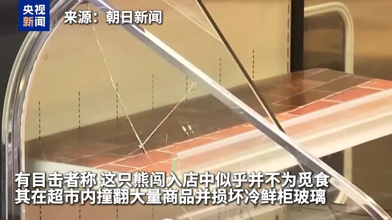 視頻丨超市裏有熊出沒 日本羣馬縣兩名老人遇襲受傷