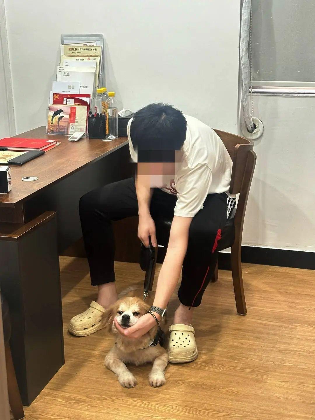 52歲女子立遺囑，留給愛犬十幾萬！這樣的遺囑有效嗎？