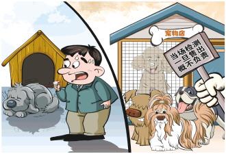 買來的寵物犬爲何沒活過一週？記者調查“星期寵”售賣亂象