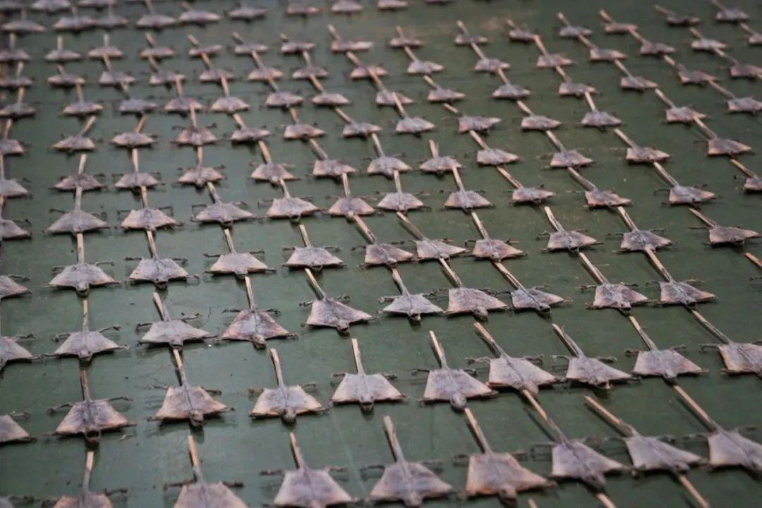 4131件瀕危大壁虎製品被查獲，鋪滿一地