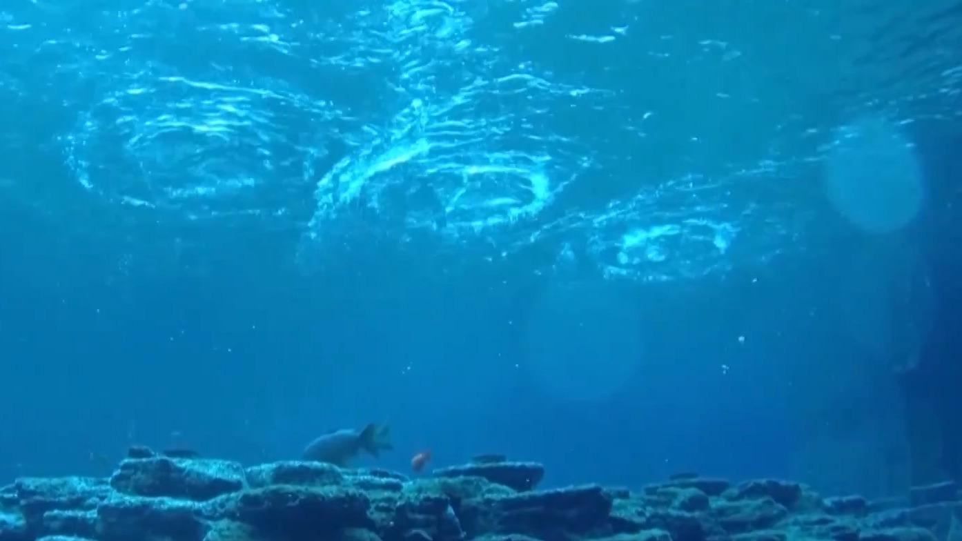 真相來了丨趵突泉“水湧若輪”是靠水泵？專家闢謠，靠的是它