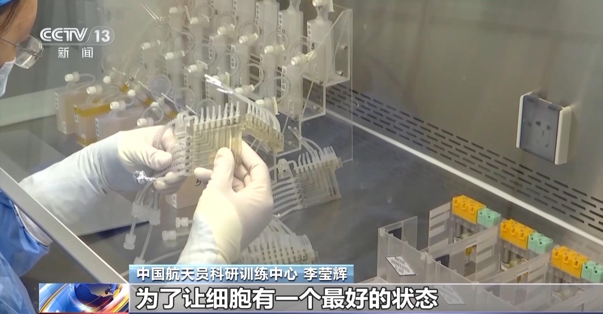 對抗失重 這項研究專爲預防航天員骨丟失和肌萎縮