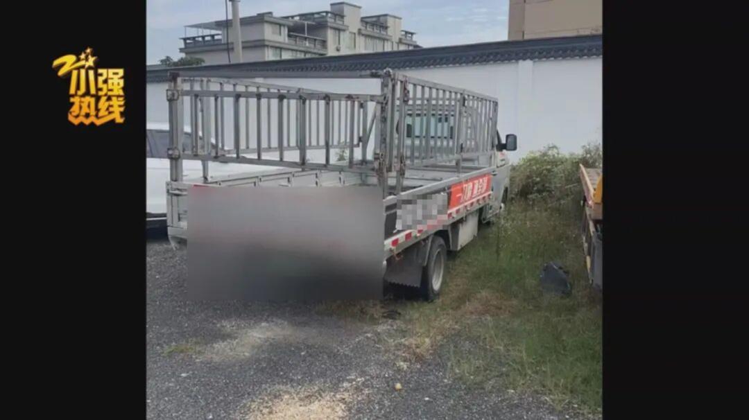 離奇!司機深夜撞死狗,二次事故致71歲老太身亡!民警坦言頭次碰到,責任認定雙方均不服