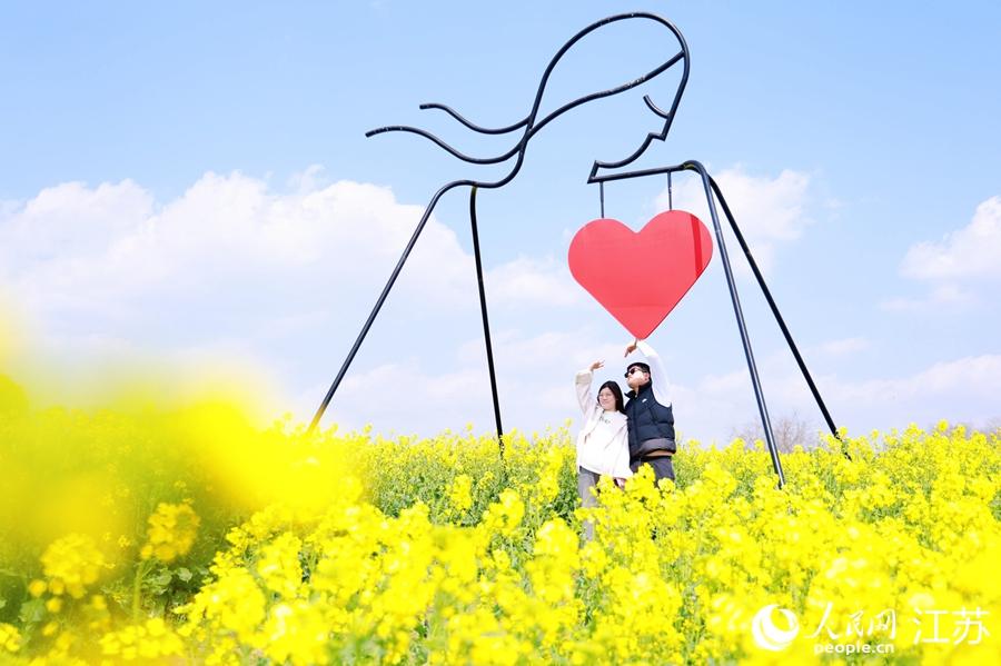 南京高淳：萬畝“金花”激活“春日經濟”