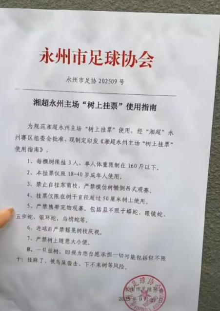 每棵樹限掛3人，有被鳥屎襲擊風險！湘超永州主場推出樹上掛票，足協回應