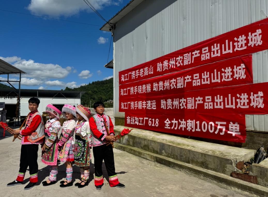 泡豇豆、辣椒醬、蕎麥麪等“黔貨”熱銷，貴州特色產業帶規模化入駐淘工廠